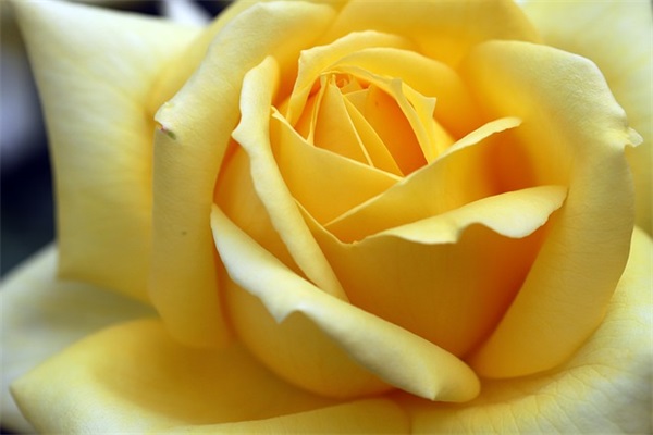 给留守儿童的贺卡寄语-42句