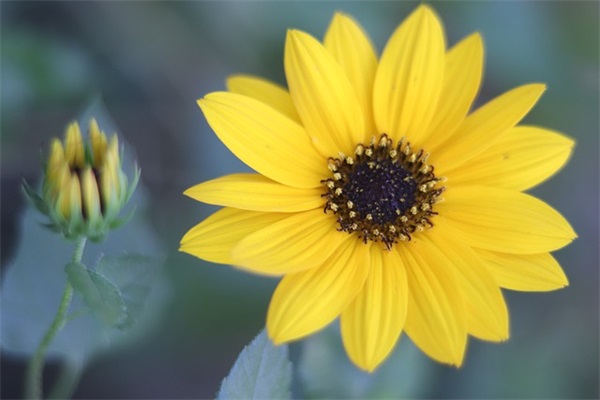 幼儿园老师的毕业寄语简短-30句