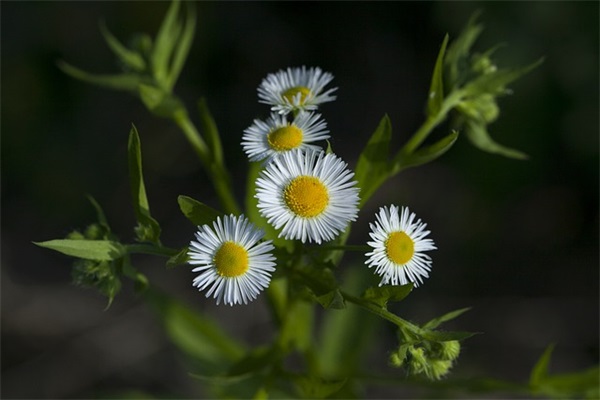 激励初中生上进寄语-51句