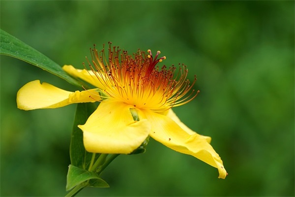 伤心绝望心痛心寒的句子 看透爱情绝望的的句子