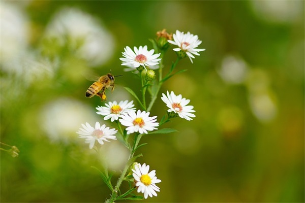 自信阳光简短的句子 提升自己的正能量名句