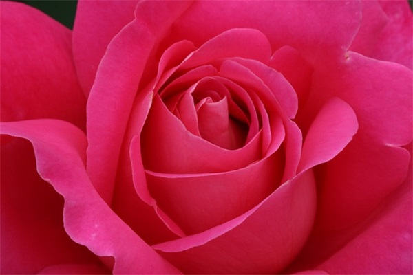 夏天天气的优美句子