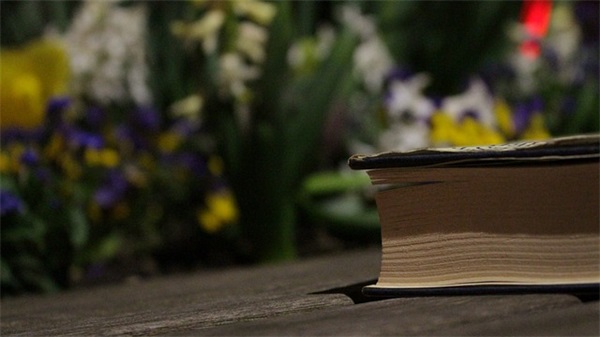 2025年干净温柔治愈的文案句子