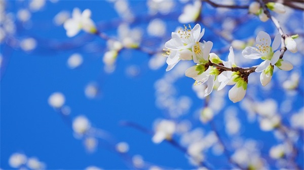 深夜吃宵夜的搞笑句子文案