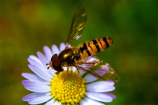 凭本事单身搞笑句子 单身搞笑句子