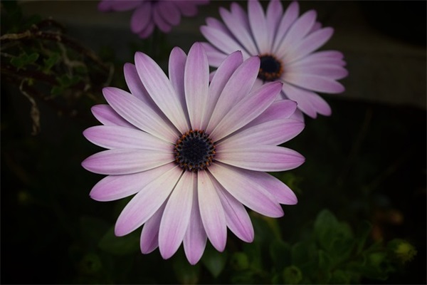 最好笑的笑话短句 非常搞笑的笑话短句子精选