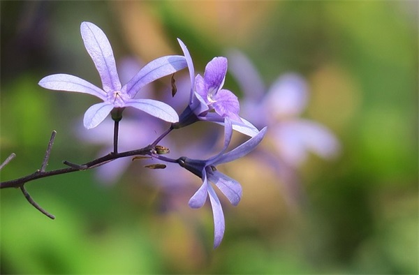 描写夏天月亮的句子18句