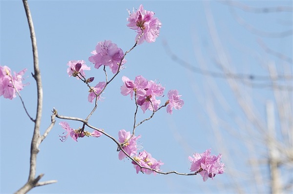 人生缘分感悟的句子 赞美缘分的句子