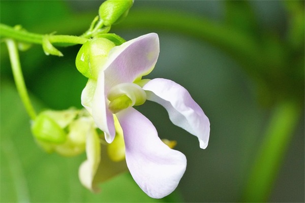 表达难过的心情的句子,有点难过的句子