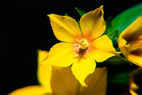 伤感句子看完哭了那种 伤感日志看完哭了那种