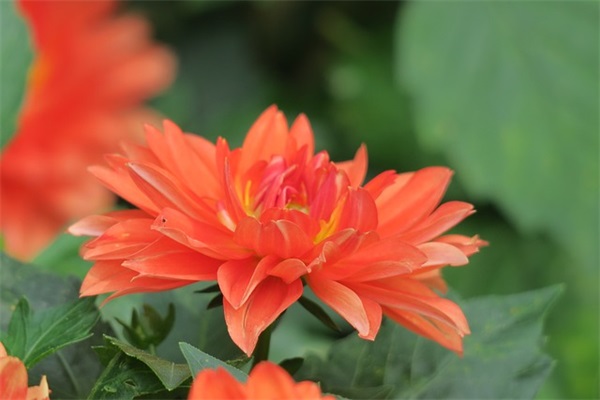 爱情回来了句子60句