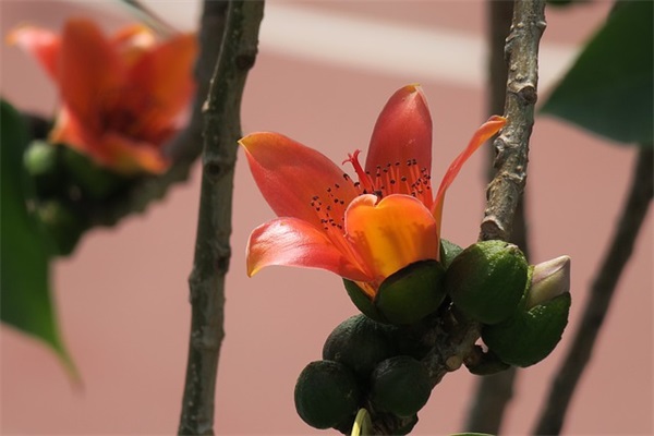 关于看透爱情的句子