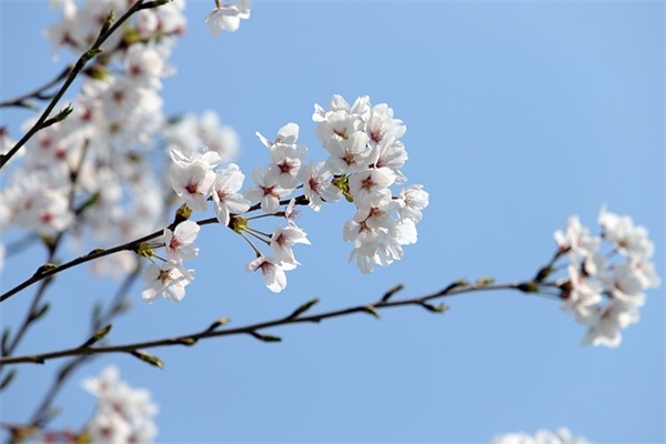 晚安简单话 深夜温馨句子