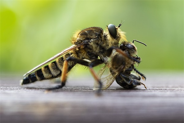 微信网名女生霸气高冷