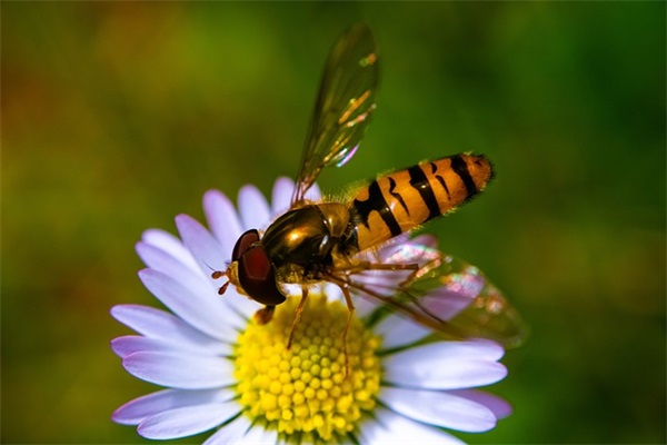 一个字的qq网名男生