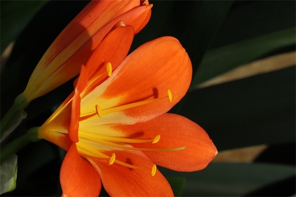 两字网名男生高冷