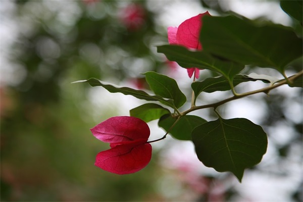 两个字的女生网名社会