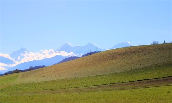 回忆的伤感句子古风 痛到心碎的句子古风