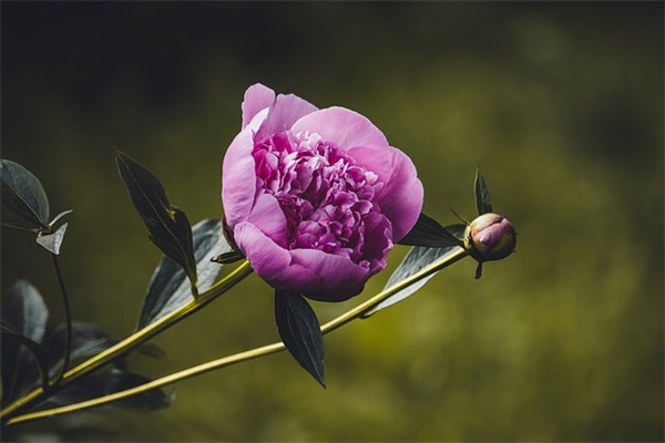 让一个女生感动到哭的句子