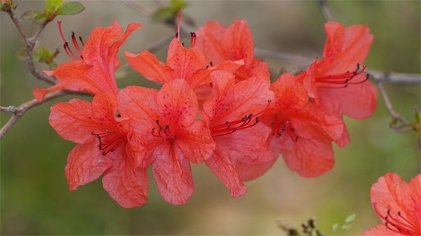 向男朋友道歉的句子