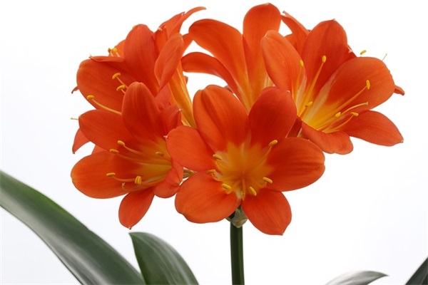 表扬和鼓励孩子的寄语 鼓励孩子坚持的句子