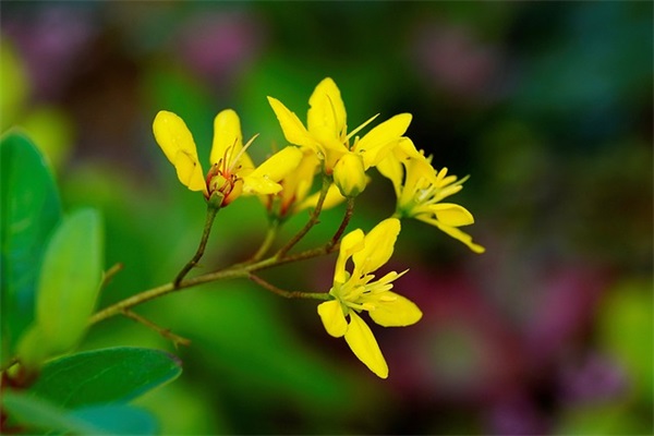 晒娃幽默句子 陪娃的幽默句子