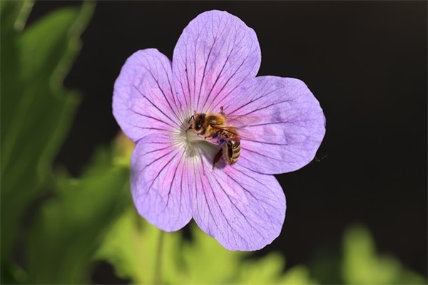 女人爱自己的,有个性 抖音女生霸气潇洒句子
