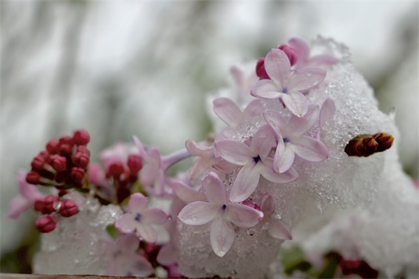友情越来越疏远的句子