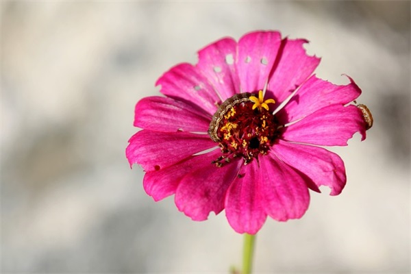 早安正能量句子 早安心语简单话