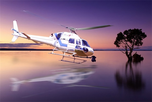 母亲节的好句好段 关于母亲节的好段