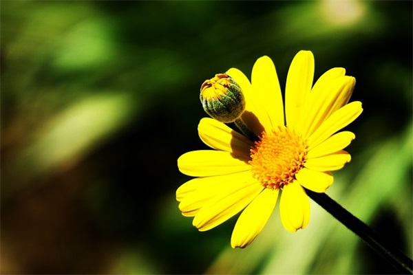 好听的话语81句