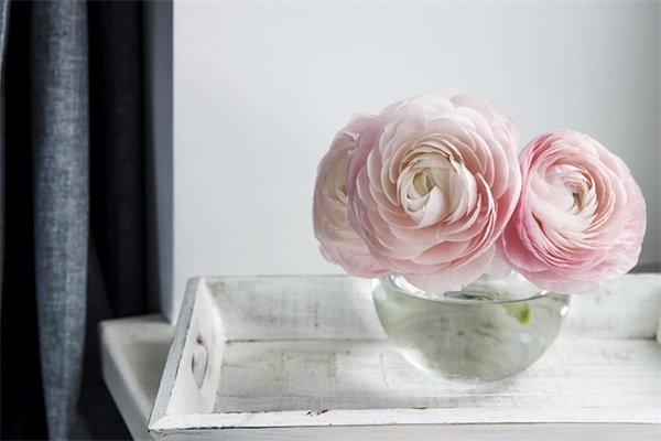 鲁滨逊漂流记好句60