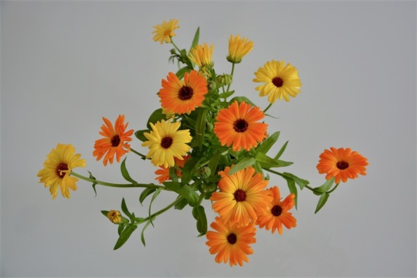 2025六月你好金句 最燃金句