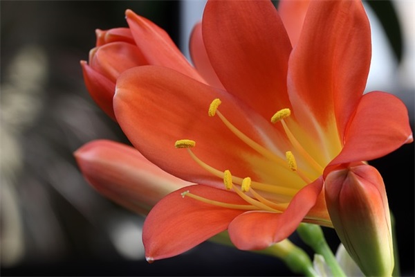 端午节活动好句好段 端午节场面的好句好段