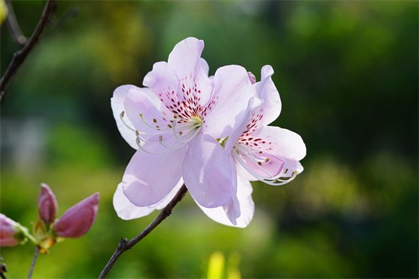 简单的人生感悟好句