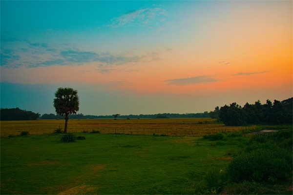 描写太阳的好句