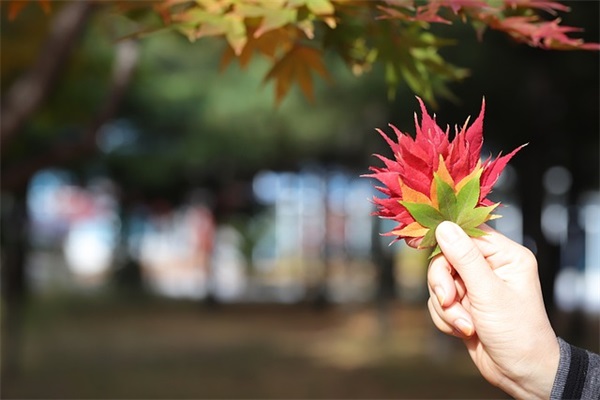 关于自信的好句摘抄