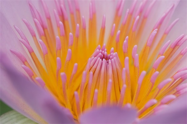 端午节好句好段摘抄 端午节摘抄