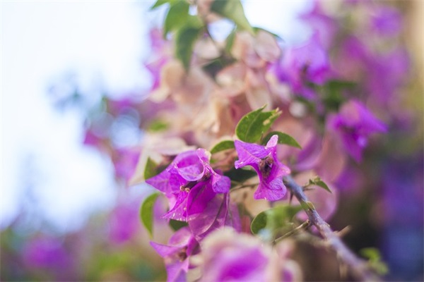 描写下雨的好句好段