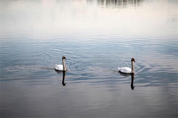 描写四季天气的好句