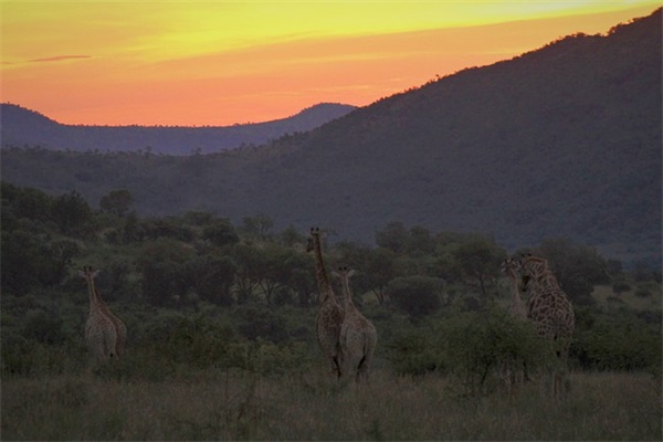 描写秋雨的好段52句