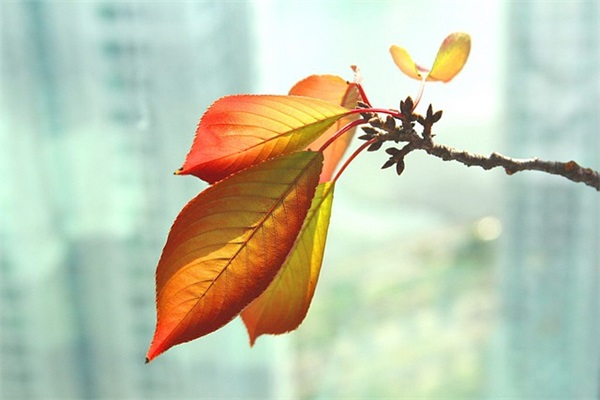 一句好听的话90句