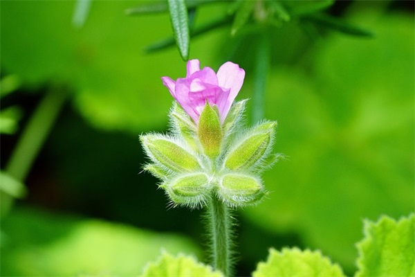 问候女友早上好短信100句