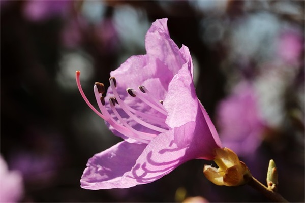 散文优美好句好段摘抄