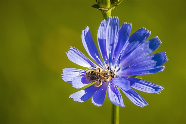 俗话语句俗话 俗话说得好 俗话大全