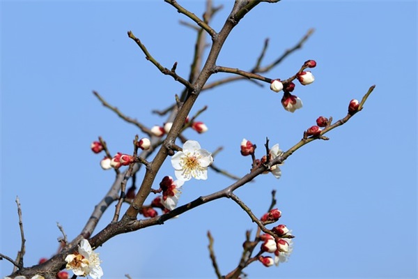 爱情好句摘抄大全