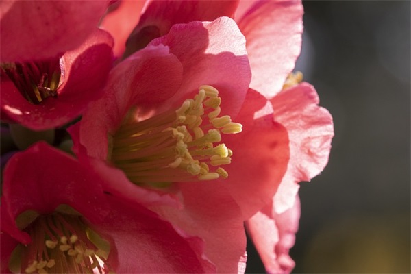 描写中秋节赏月的好句