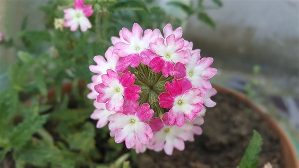 关于友情的好段落90句