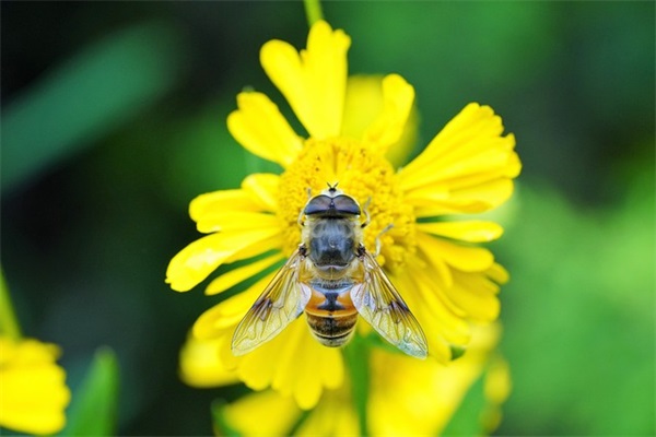 六年级好句好段
