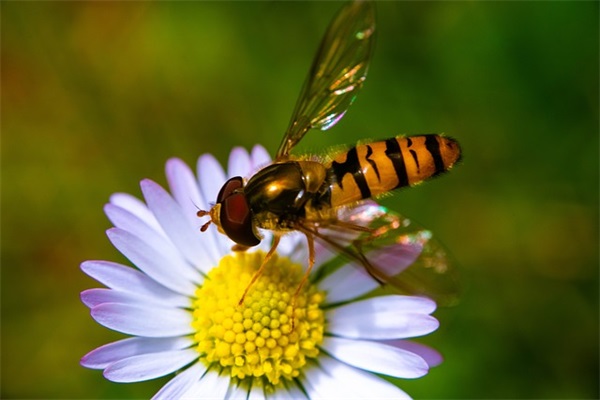 描写冬天冷的好段81句